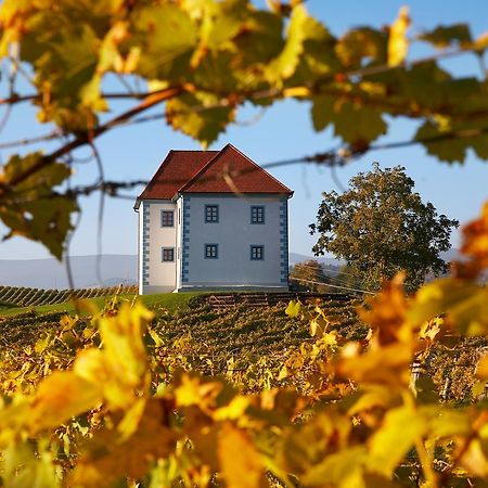 شقة Wine Grower'S Mansion Zlati Gric Slovenske Konjice المظهر الخارجي الصورة