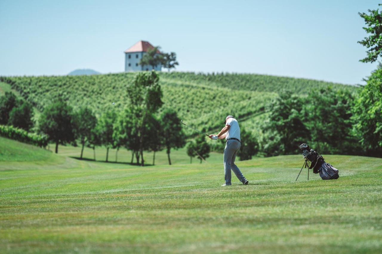 شقة Wine Grower'S Mansion Zlati Gric Slovenske Konjice المظهر الخارجي الصورة