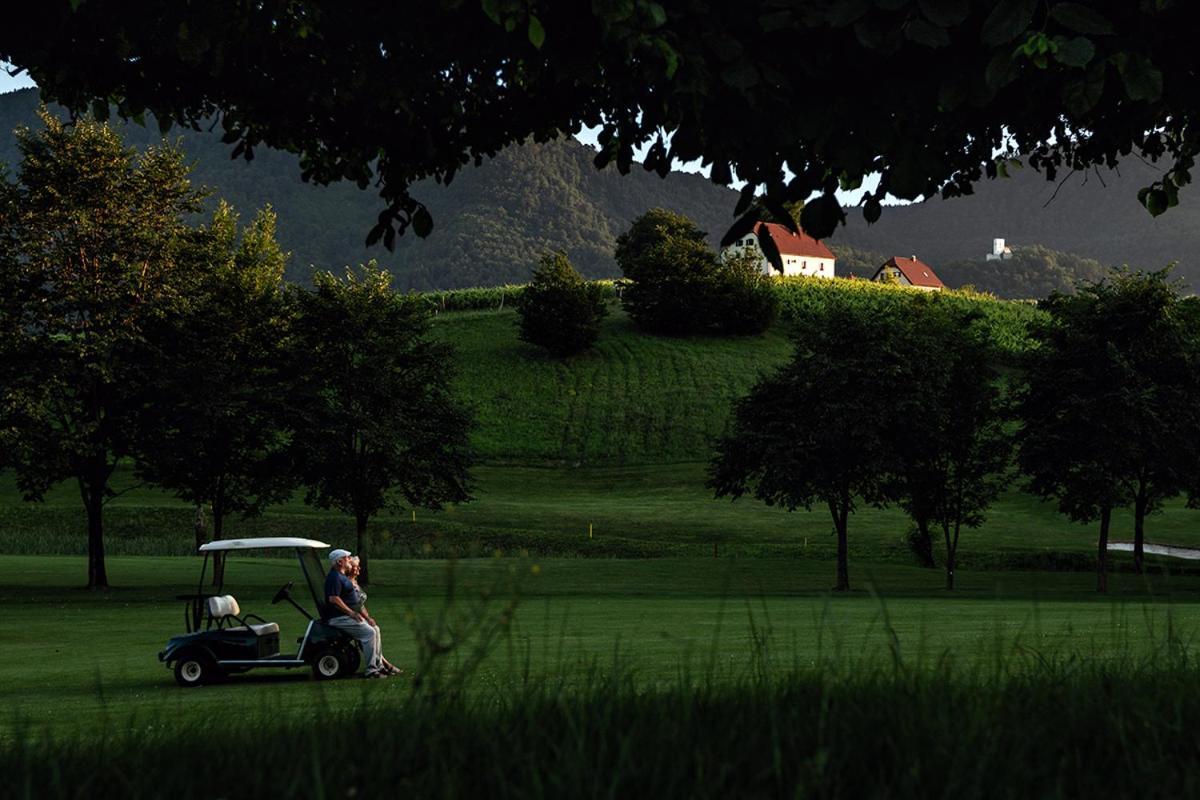 شقة Wine Grower'S Mansion Zlati Gric Slovenske Konjice المظهر الخارجي الصورة