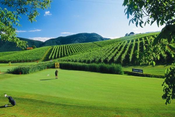 شقة Wine Grower'S Mansion Zlati Gric Slovenske Konjice المظهر الخارجي الصورة