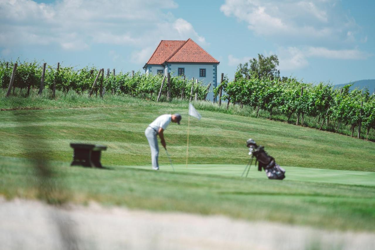 شقة Wine Grower'S Mansion Zlati Gric Slovenske Konjice المظهر الخارجي الصورة