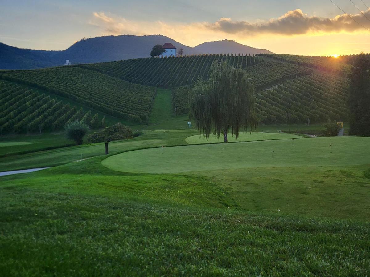 شقة Wine Grower'S Mansion Zlati Gric Slovenske Konjice المظهر الخارجي الصورة