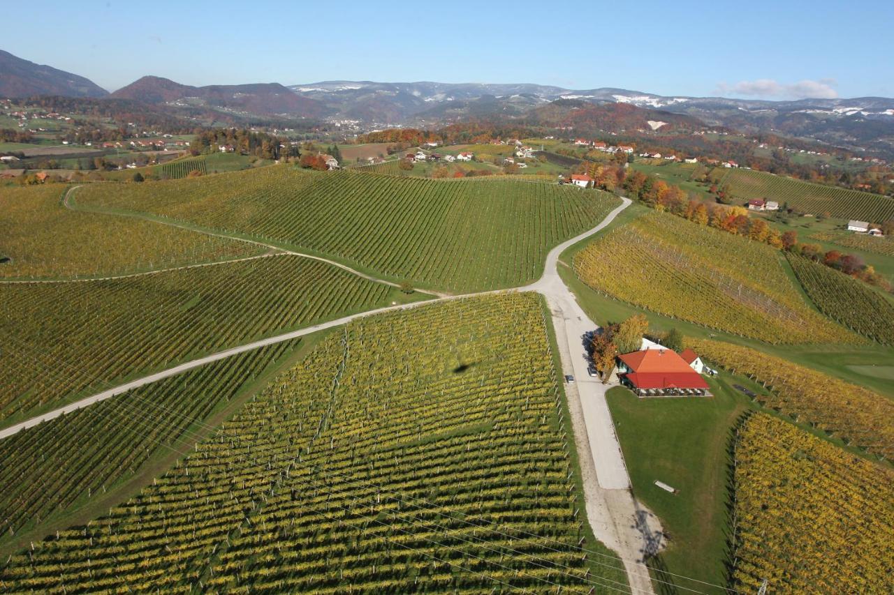 شقة Wine Grower'S Mansion Zlati Gric Slovenske Konjice المظهر الخارجي الصورة