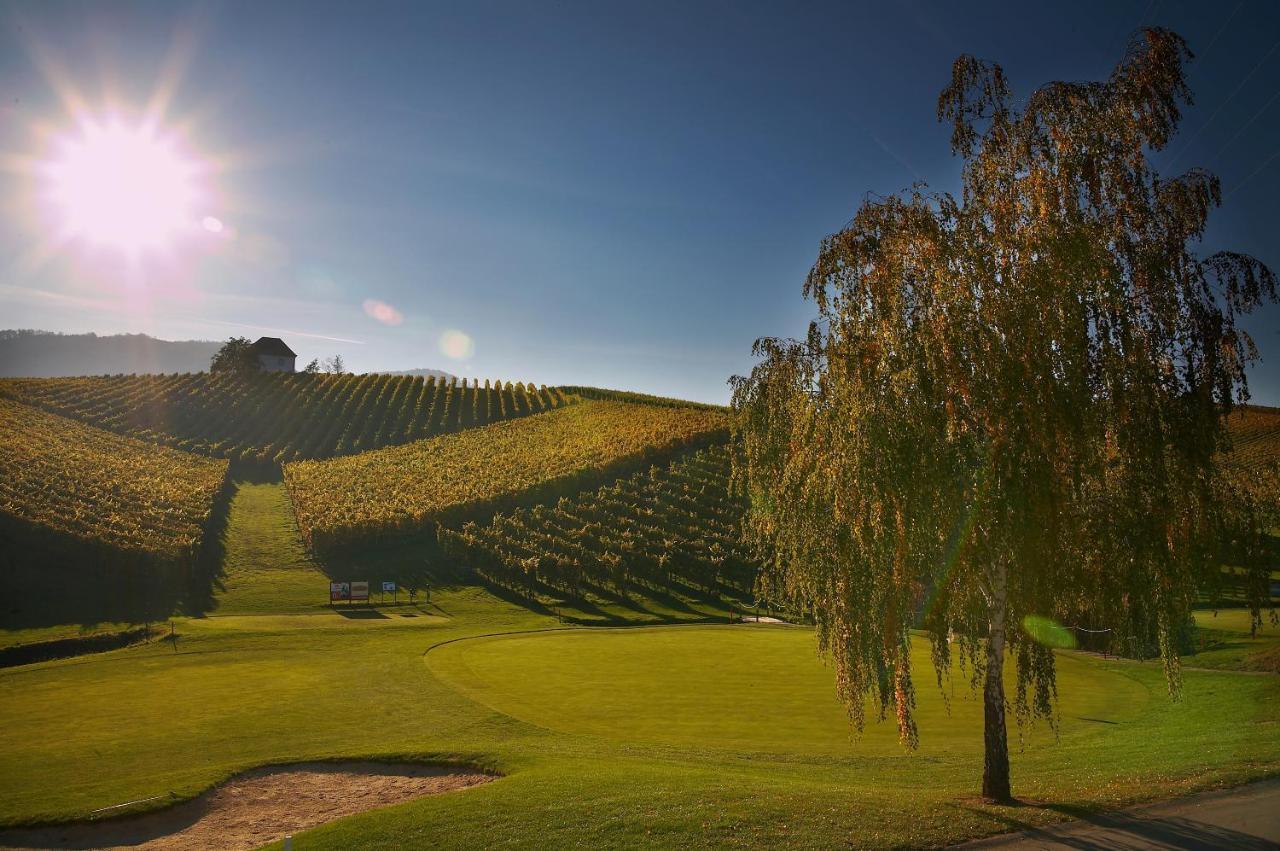 شقة Wine Grower'S Mansion Zlati Gric Slovenske Konjice المظهر الخارجي الصورة