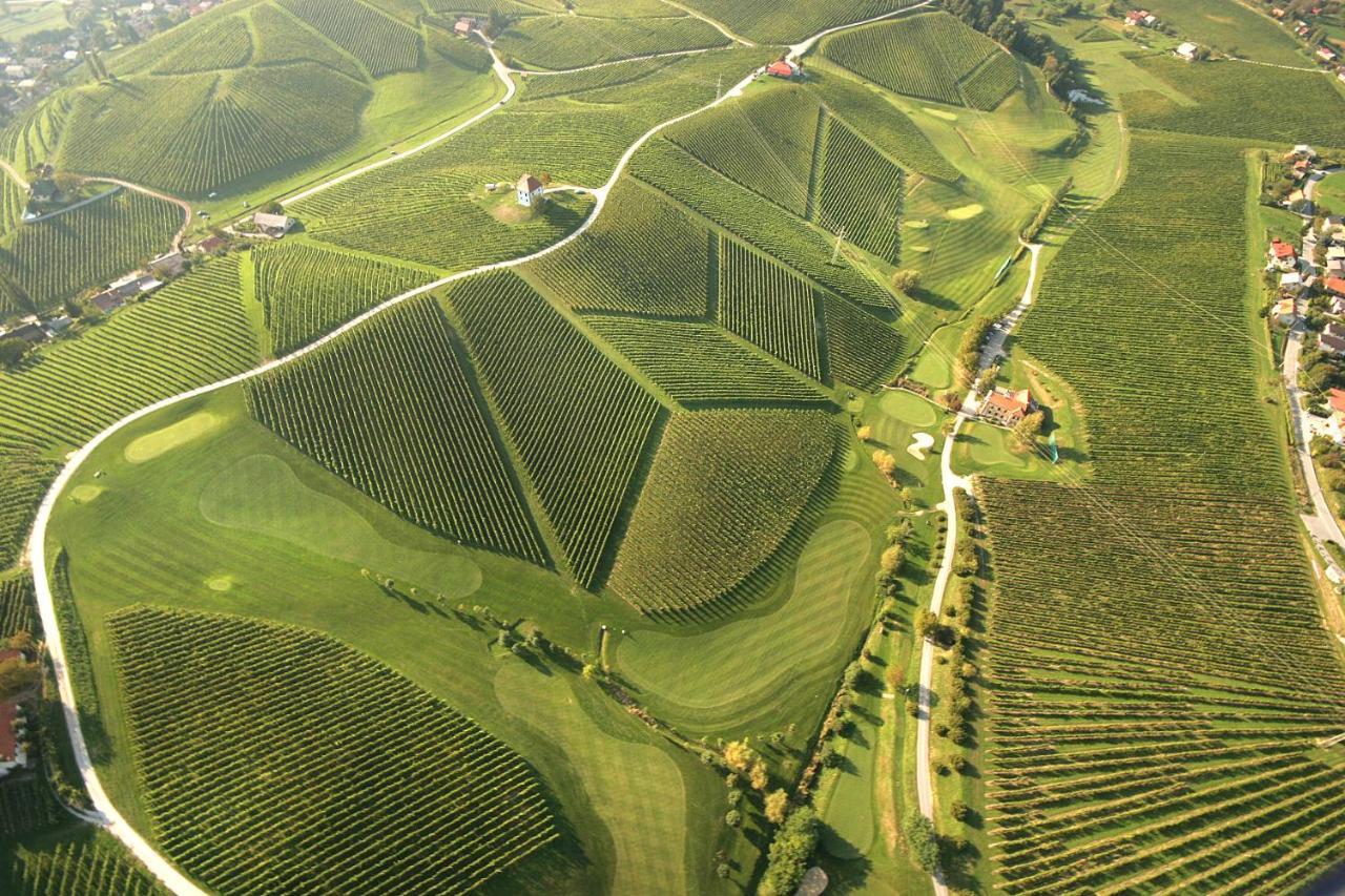 شقة Wine Grower'S Mansion Zlati Gric Slovenske Konjice المظهر الخارجي الصورة