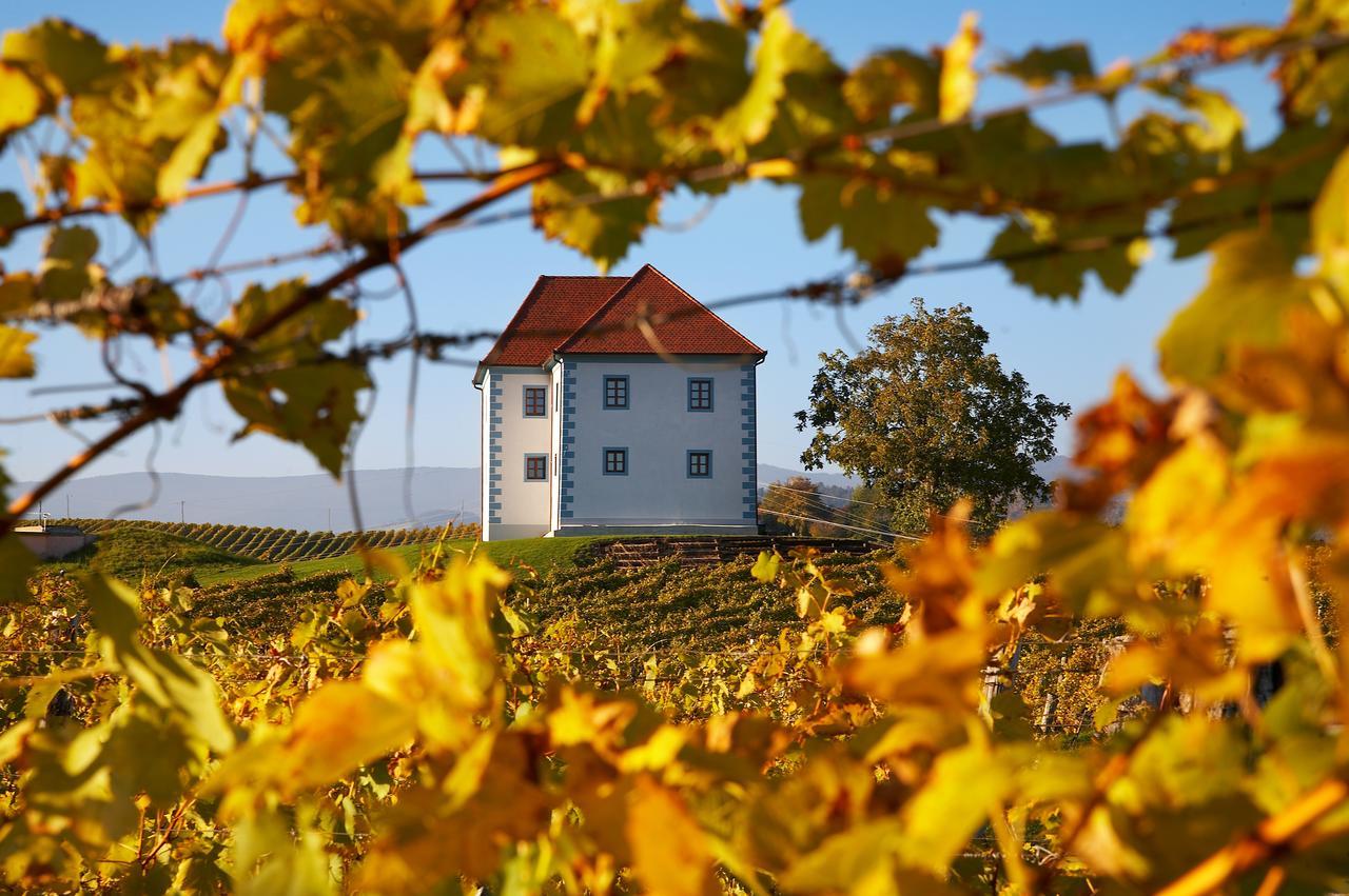 شقة Wine Grower'S Mansion Zlati Gric Slovenske Konjice المظهر الخارجي الصورة