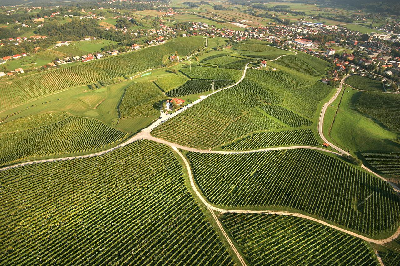 شقة Wine Grower'S Mansion Zlati Gric Slovenske Konjice المظهر الخارجي الصورة