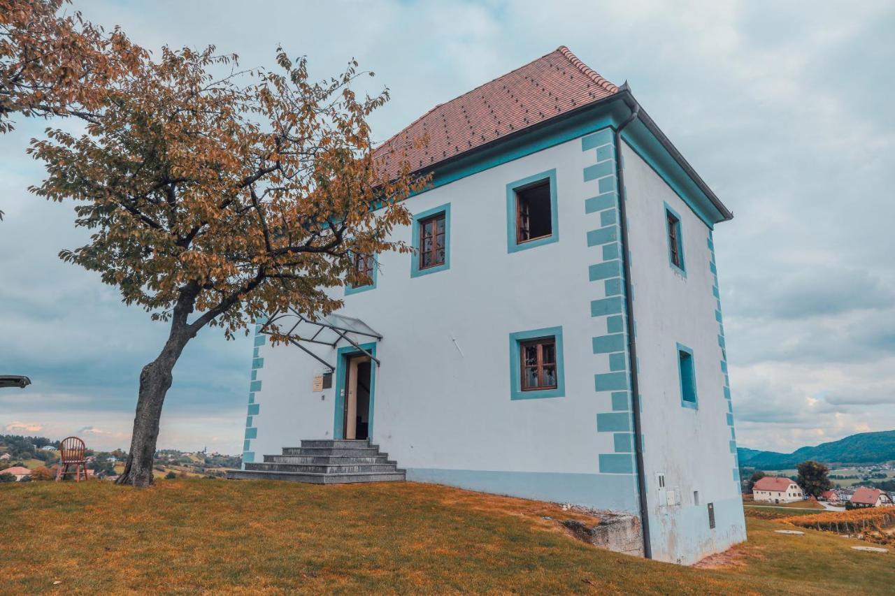 شقة Wine Grower'S Mansion Zlati Gric Slovenske Konjice المظهر الخارجي الصورة