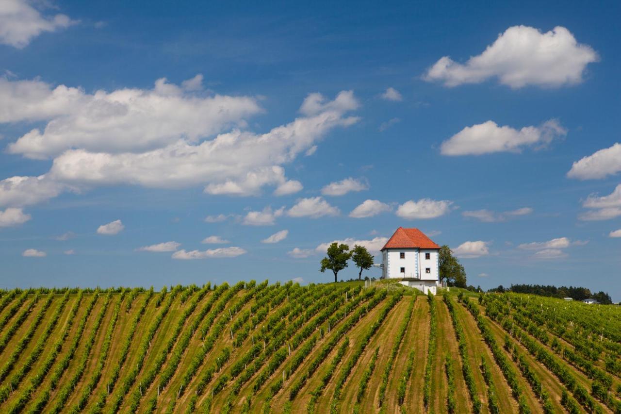 شقة Wine Grower'S Mansion Zlati Gric Slovenske Konjice المظهر الخارجي الصورة